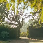 Hébergement de vacances Bordeaux, Gironde, Océan - Au Coeur Des Vignes *
