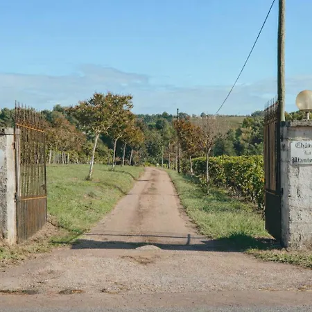 Maison De Groupe - Vignes - Campagne - Bordeaux Ferienhaus *