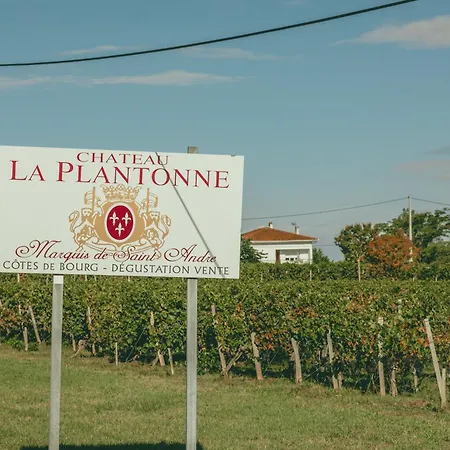Maison De Groupe - Vignes - Campagne - Bordeaux