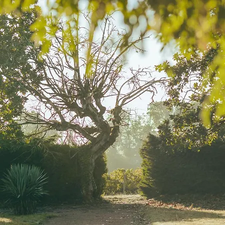 Prázdninový dům Maison De Groupe - Vignes - Campagne - Bordeaux *